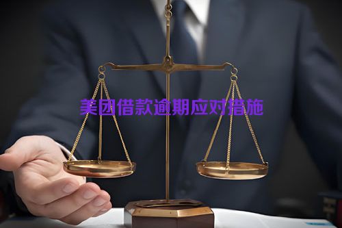 美团借款逾期应对措施