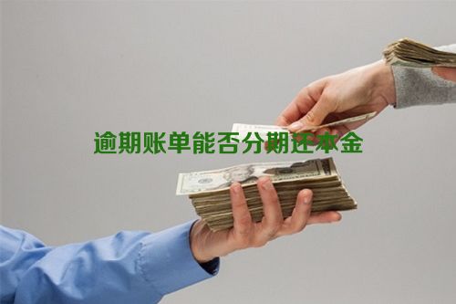 逾期账单能否分期还本金