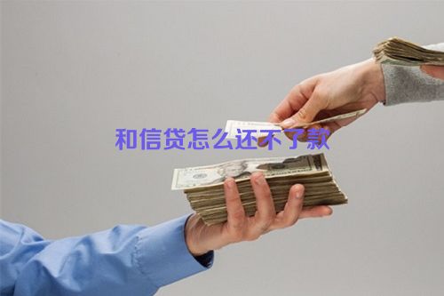 和信贷怎么还不了款