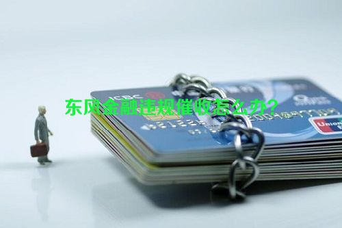 东风金融违规催收怎么办？