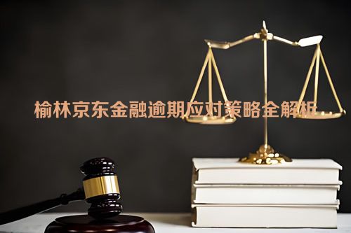 榆林京东金融逾期应对策略全解析