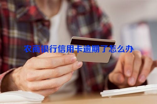 农商银行信用卡逾期了怎么办