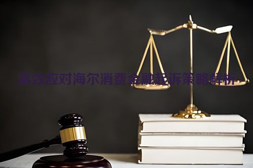 高效应对海尔消费金融起诉策略解析