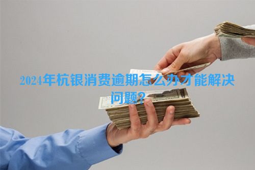 2024年杭银消费逾期怎么办才能解决问题？