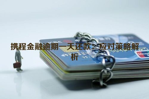 携程金融逾期一天还款：应对策略解析