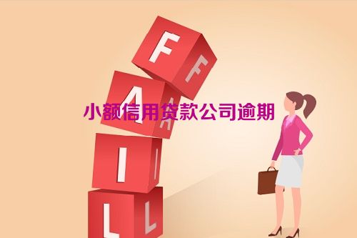 小额信用贷款公司逾期