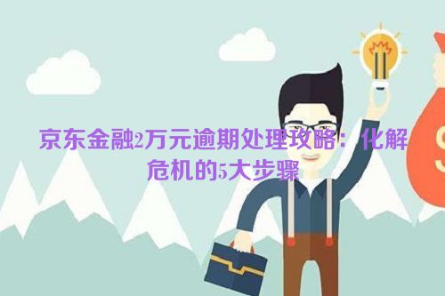 京东金融2万元逾期处理攻略：化解危机的5大步骤