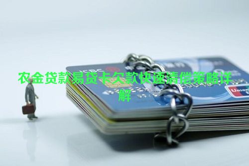 农金贷款易贷卡欠款快速清偿策略详解