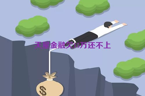 天星金融欠15万还不上