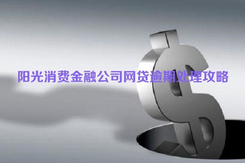 阳光消费金融公司网贷逾期处理攻略