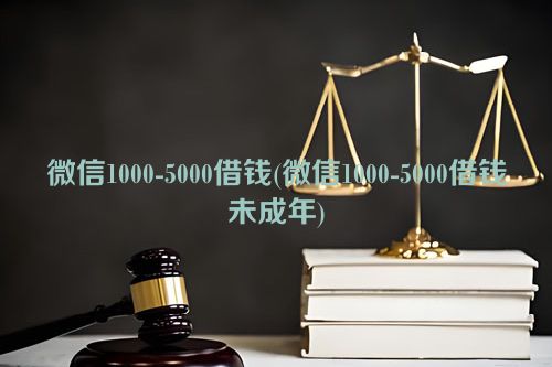 微信1000-5000借钱(微信1000-5000借钱未成年)