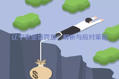 辽宁农业贷罚息：解析与应对策略