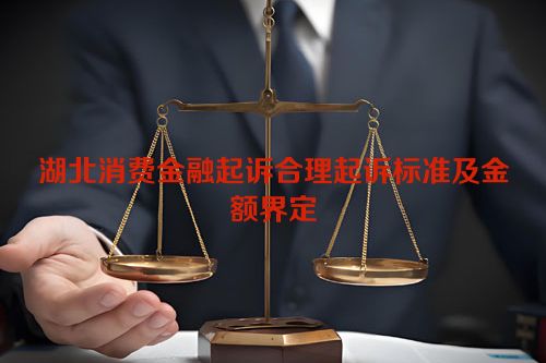 湖北消费金融起诉合理起诉标准及金额界定