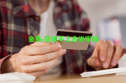 金燕e贷还不上会坐牢吗