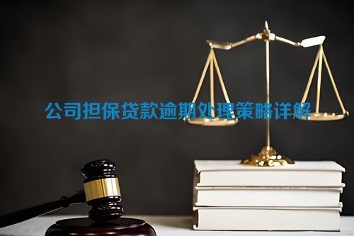 公司担保贷款逾期处理策略详解