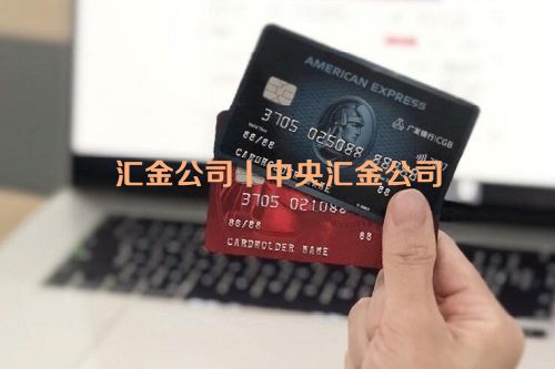 汇金公司丨中央汇金公司