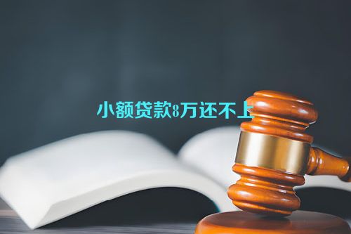 小额贷款8万还不上