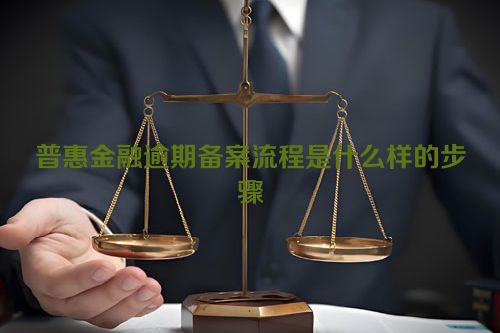 普惠金融逾期备案流程是什么样的步骤