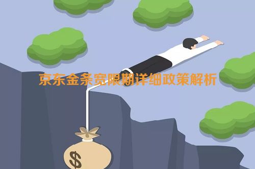 京东金条宽限期详细政策解析