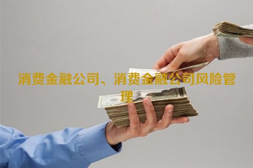 消费金融公司、消费金融公司风险管理