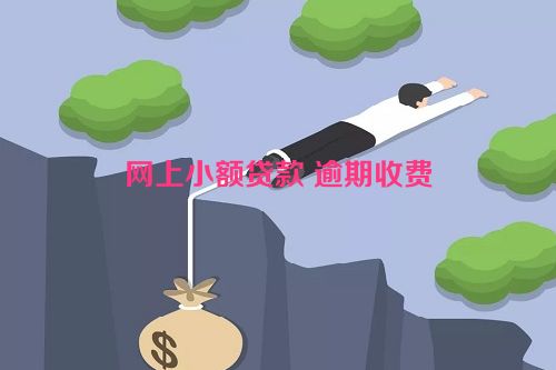 网上小额贷款 逾期收费