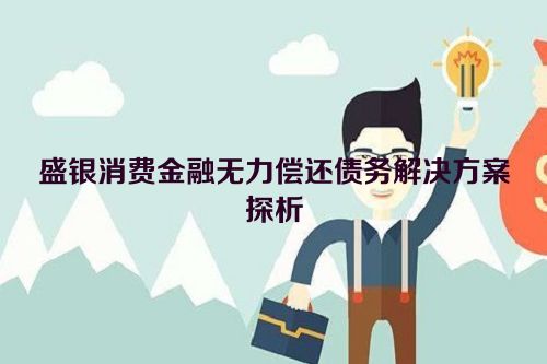 盛银消费金融无力偿还债务解决方案探析