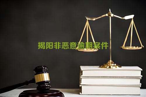 揭阳非恶意逾期案件