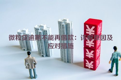 微粒贷逾期不能再借款：详解原因及应对措施