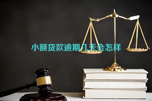 小额贷款逾期几天会怎样