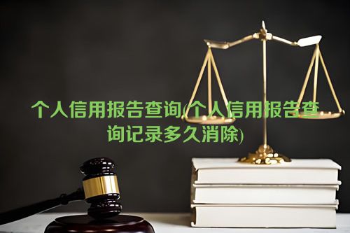 个人信用报告查询(个人信用报告查询记录多久消除)