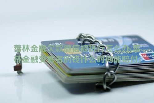 善林金融欠款微信被执行怎么办(善林金融受害者的钱什么时间能赔付)