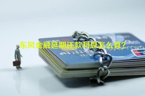 东风金融延期还款利息怎么算？