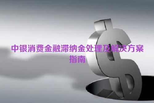 中银消费金融滞纳金处理及解决方案指南