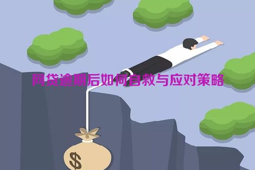 网贷逾期后如何自救与应对策略