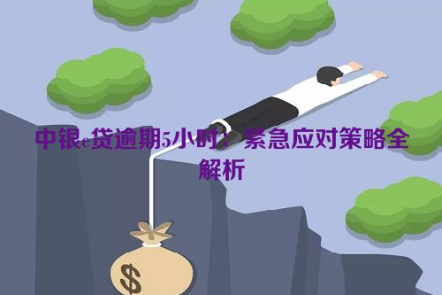 中银e贷逾期5小时：紧急应对策略全解析