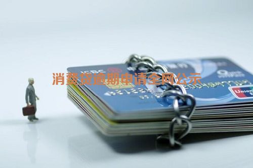 消费贷逾期申请全网公示