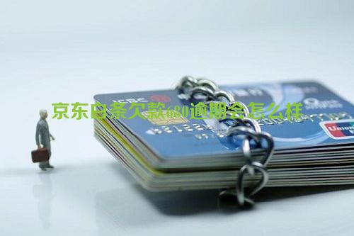 京东白条欠款680逾期会怎么样