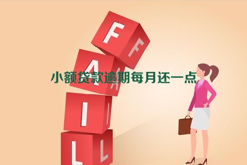 小额贷款逾期每月还一点