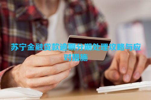 苏宁金融贷款逾期分期处理攻略与应对措施