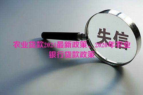 农业贷款2024最新政策、2020年农业银行贷款政策