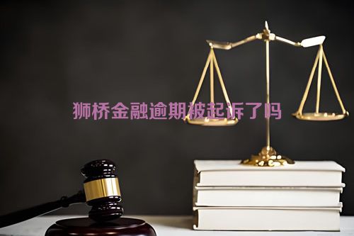 狮桥金融逾期被起诉了吗