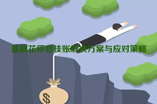 普融花停息挂账解决方案与应对策略