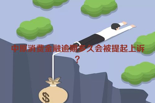 中原消费金融逾期多久会被提起上诉？