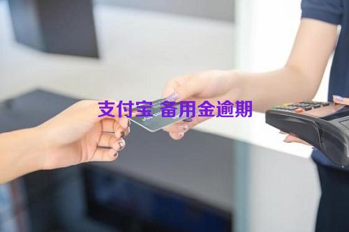 支付宝 备用金逾期