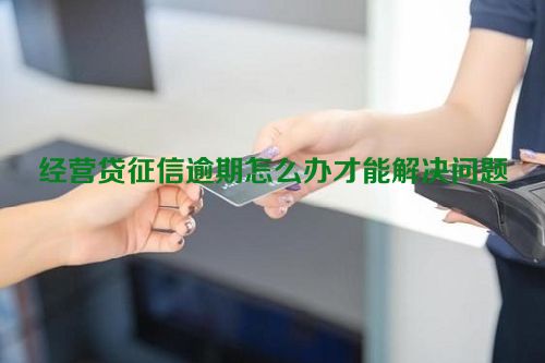 经营贷征信逾期怎么办才能解决问题