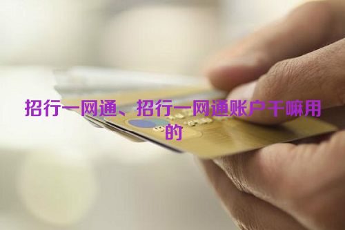 招行一网通、招行一网通账户干嘛用的