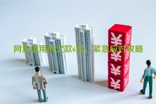 网贷信用卡欠款6万，紧急应对攻略