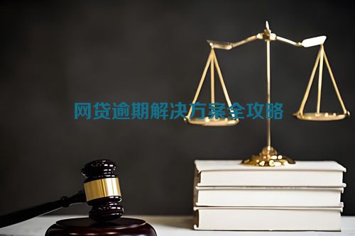 网贷逾期解决方案全攻略