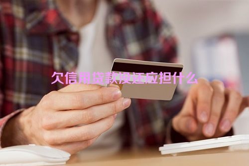 欠信用贷款没还应担什么