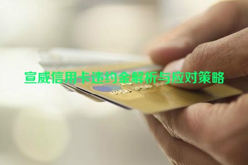 宣威信用卡违约金解析与应对策略